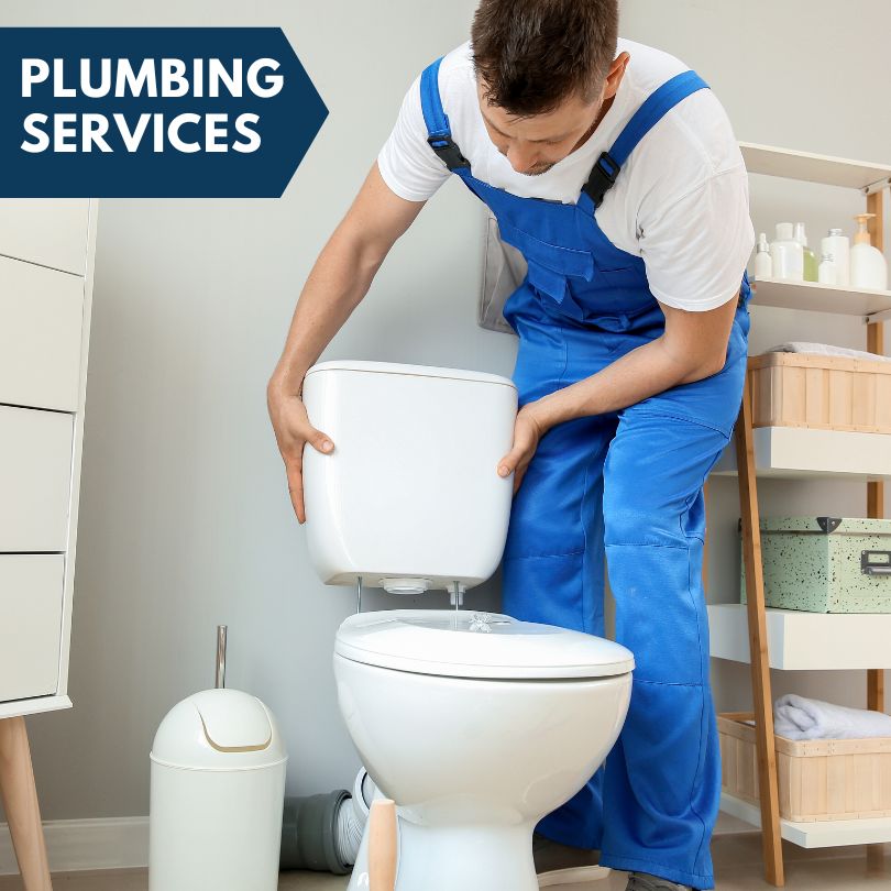 Plumbing Company in Morrice, MI